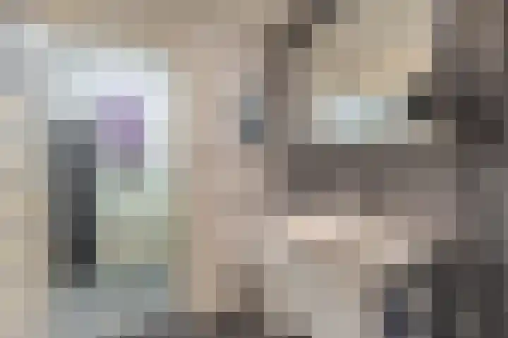 Acaciastraat 16 Oude Pekela thumbnail 21