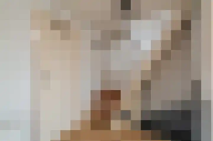 Acaciastraat 16 Oude Pekela thumbnail 25