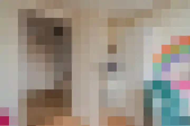 Acaciastraat 16 Oude Pekela thumbnail 33
