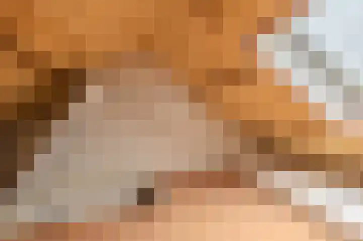 Acaciastraat 16 Oude Pekela thumbnail 34