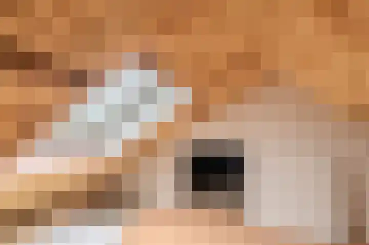 Acaciastraat 16 Oude Pekela thumbnail 35