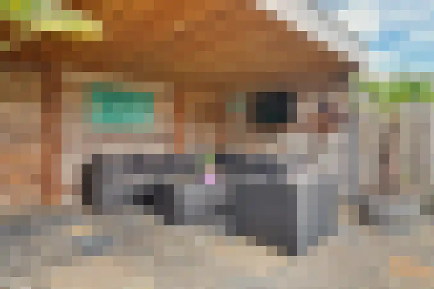 Acaciastraat 17 Nieuwkuijk thumbnail 41