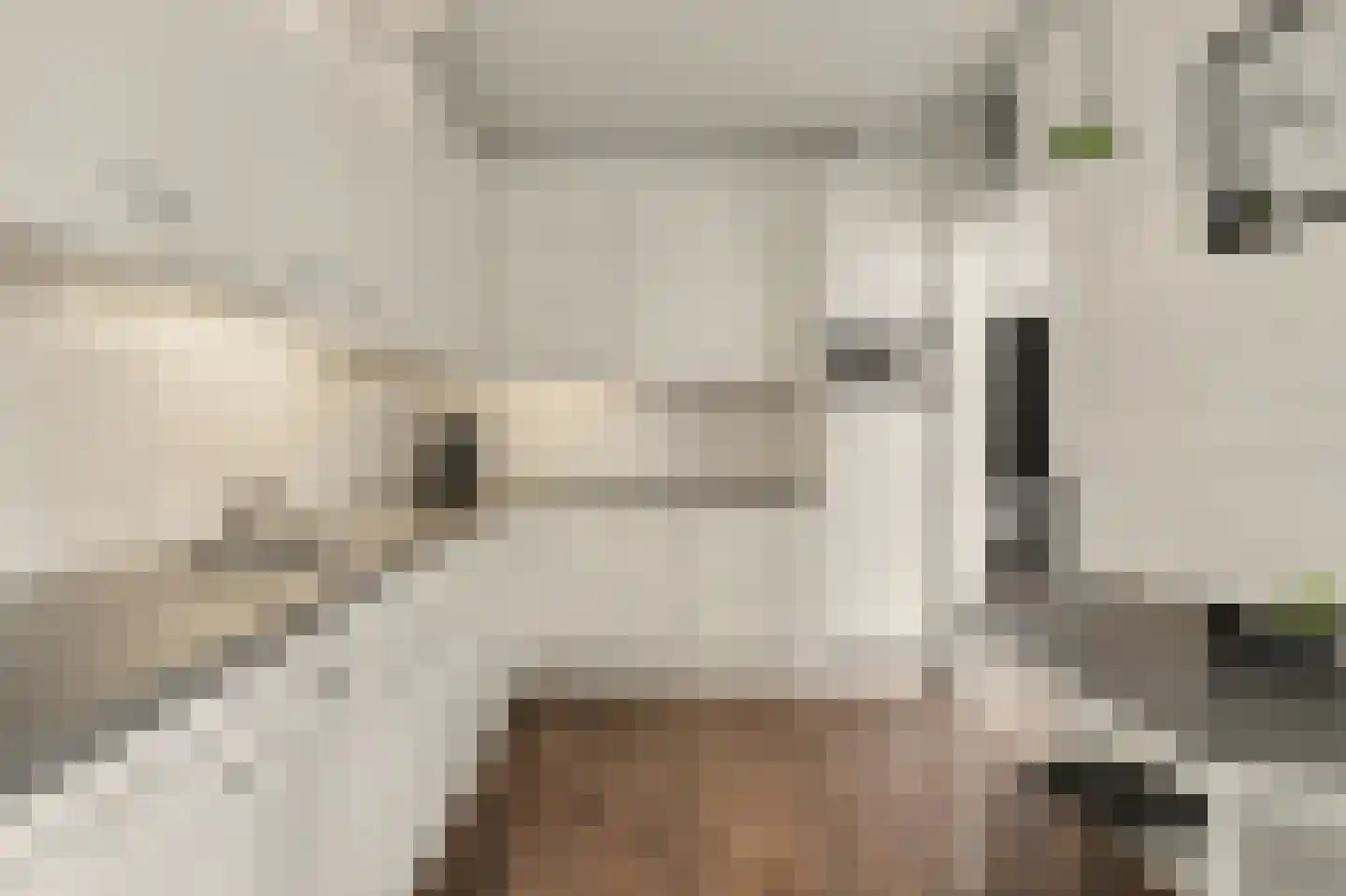 Acaciastraat 17 Nieuwkuijk thumbnail 9
