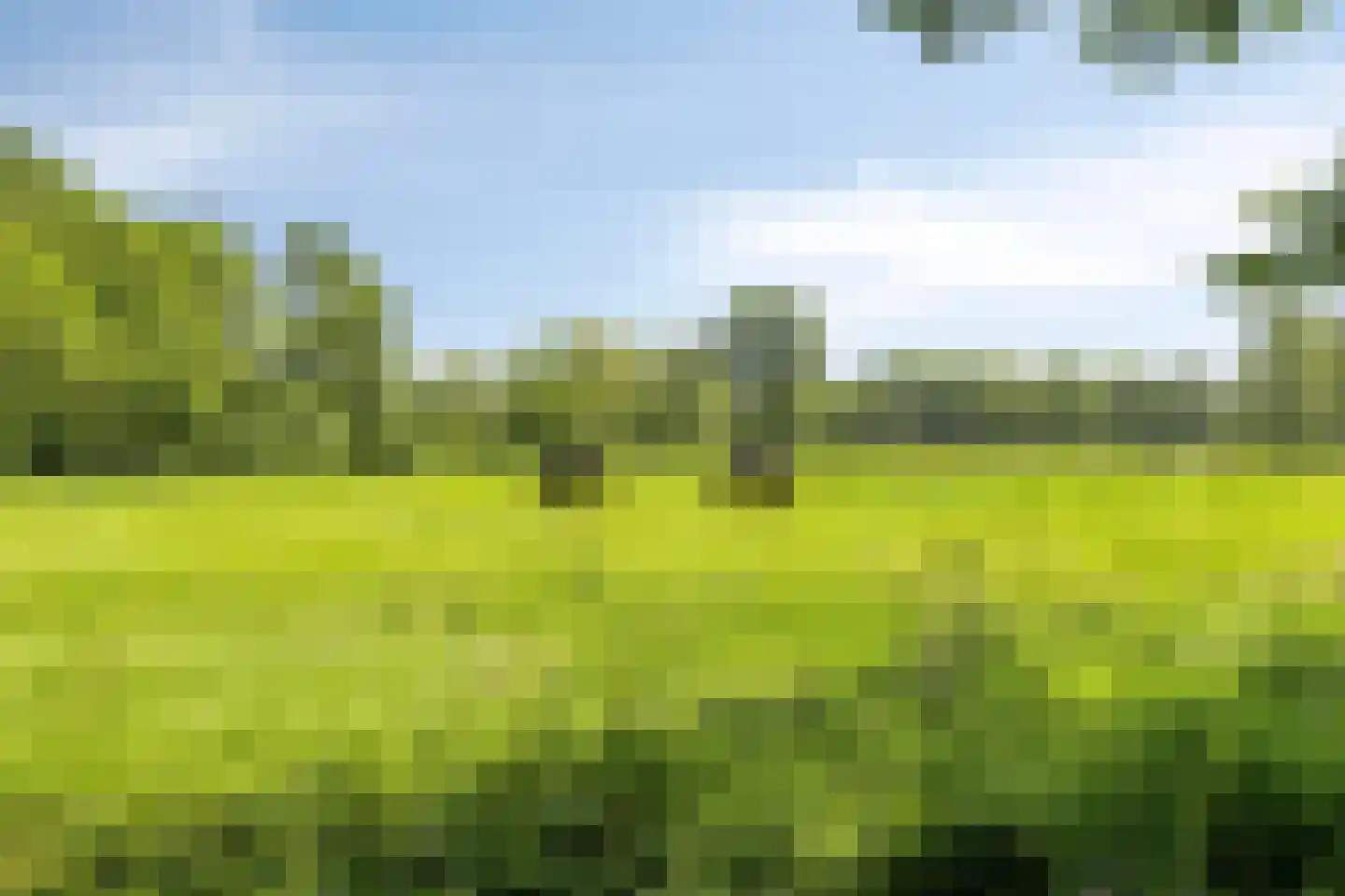 Acaciastraat 19 Made thumbnail 33