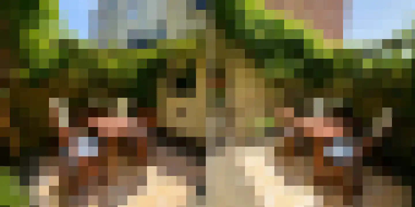 Acaciastraat 19 Utrecht thumbnail 15