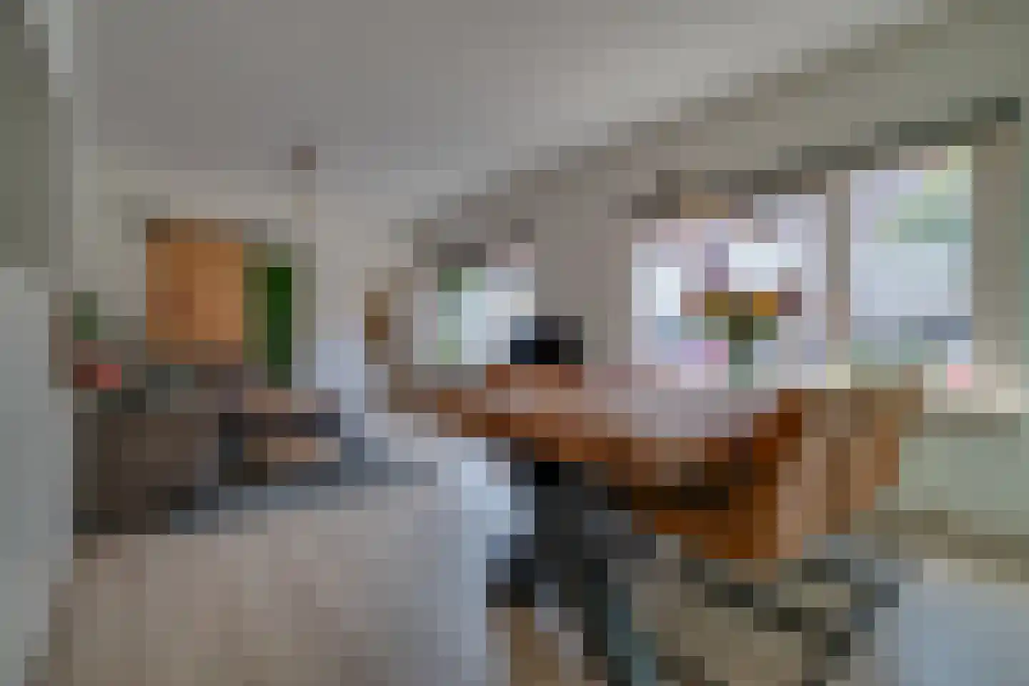 Acaciastraat 19 Utrecht thumbnail 22