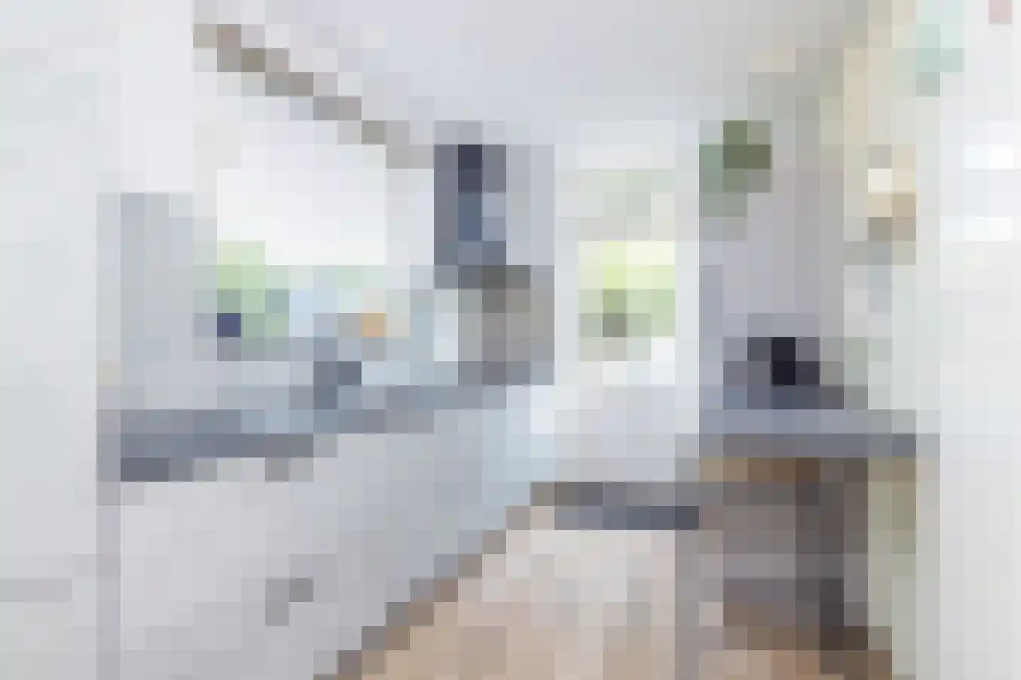Acaciastraat 2 Brunssum thumbnail 15