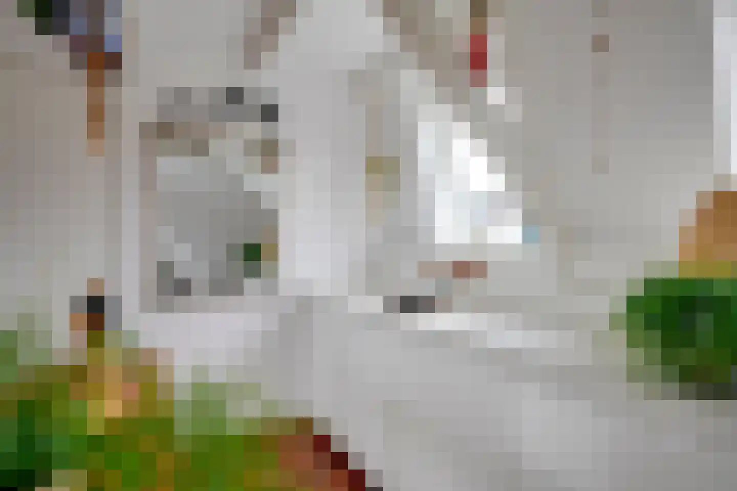 Acaciastraat 2 BS Utrecht thumbnail 25