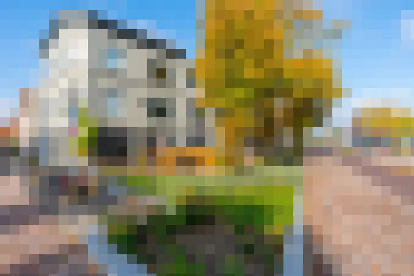 Acaciastraat 2 BS Utrecht thumbnail 36