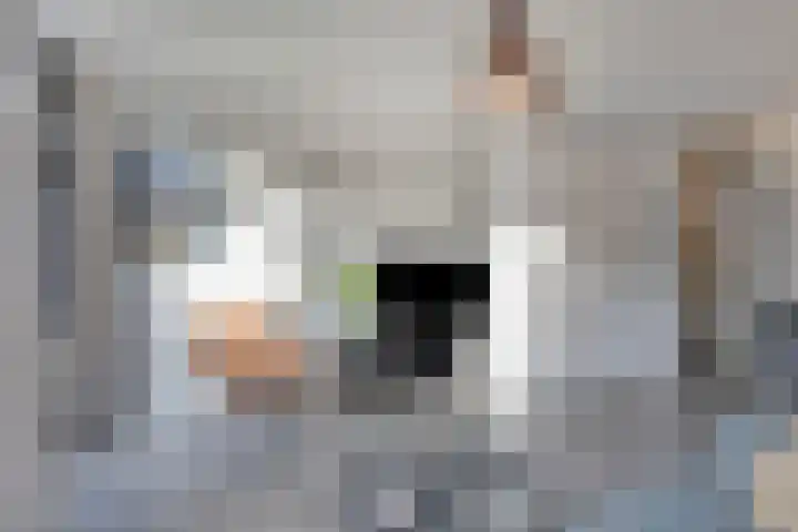 Acaciastraat 2 Geffen thumbnail 11
