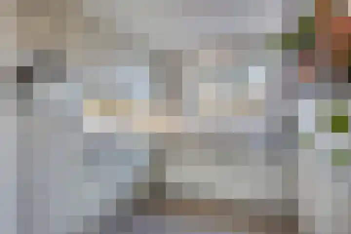 Acaciastraat 2 Geffen thumbnail 15