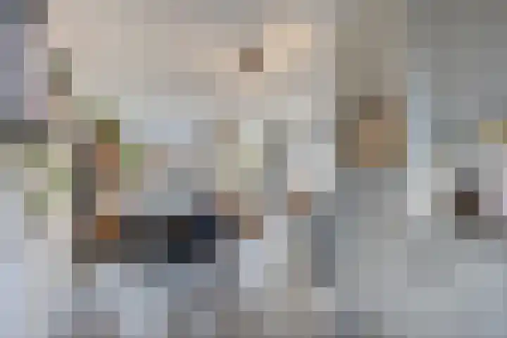 Acaciastraat 2 Geffen thumbnail 16
