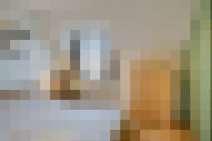 Acaciastraat 2 Geffen thumbnail 19