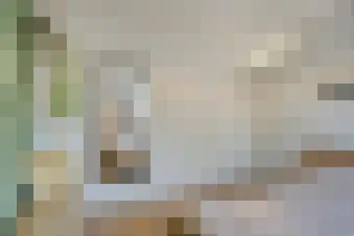 Acaciastraat 2 Geffen thumbnail 20