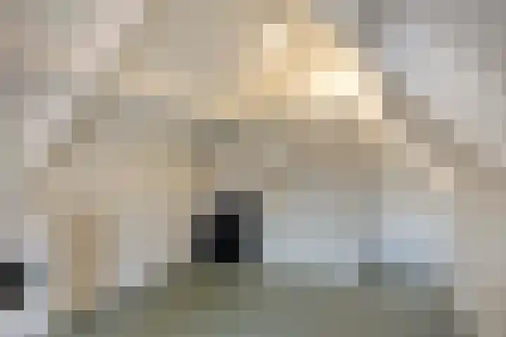 Acaciastraat 2 Geffen thumbnail 26