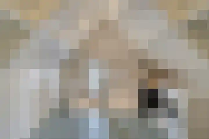 Acaciastraat 2 Geffen thumbnail 27