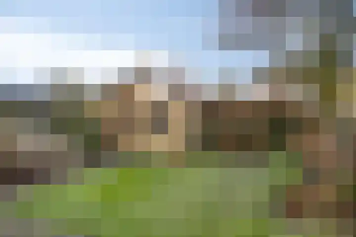 Acaciastraat 2 Geffen thumbnail 28