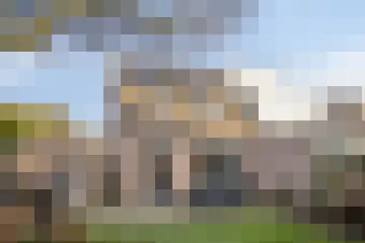 Acaciastraat 2 Geffen thumbnail 29