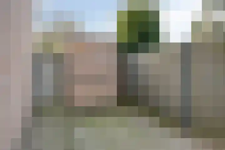 Acaciastraat 2 Geffen thumbnail 30