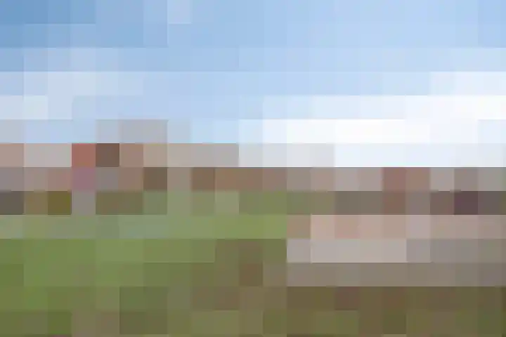 Acaciastraat 2 Geffen thumbnail 34