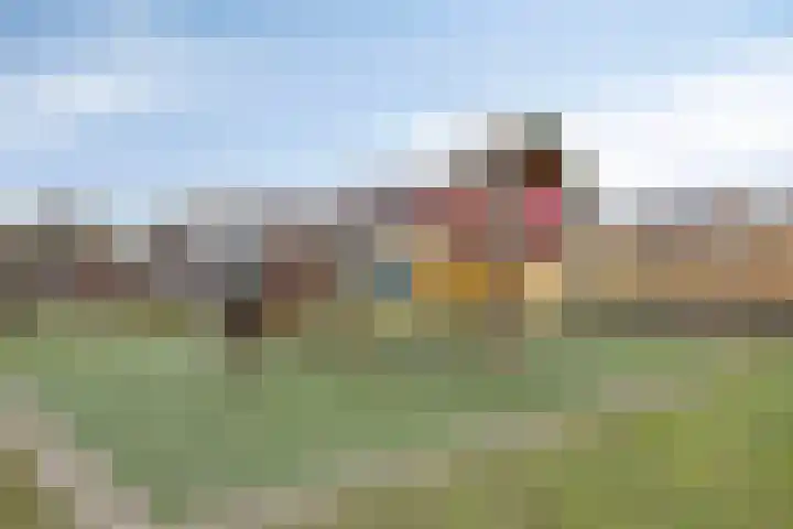 Acaciastraat 2 Geffen thumbnail 35