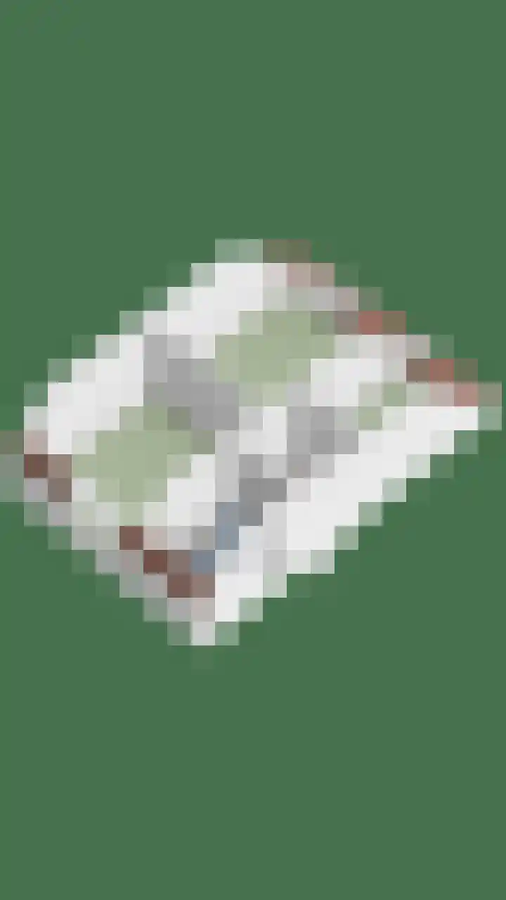 Acaciastraat 2 Geffen thumbnail 41