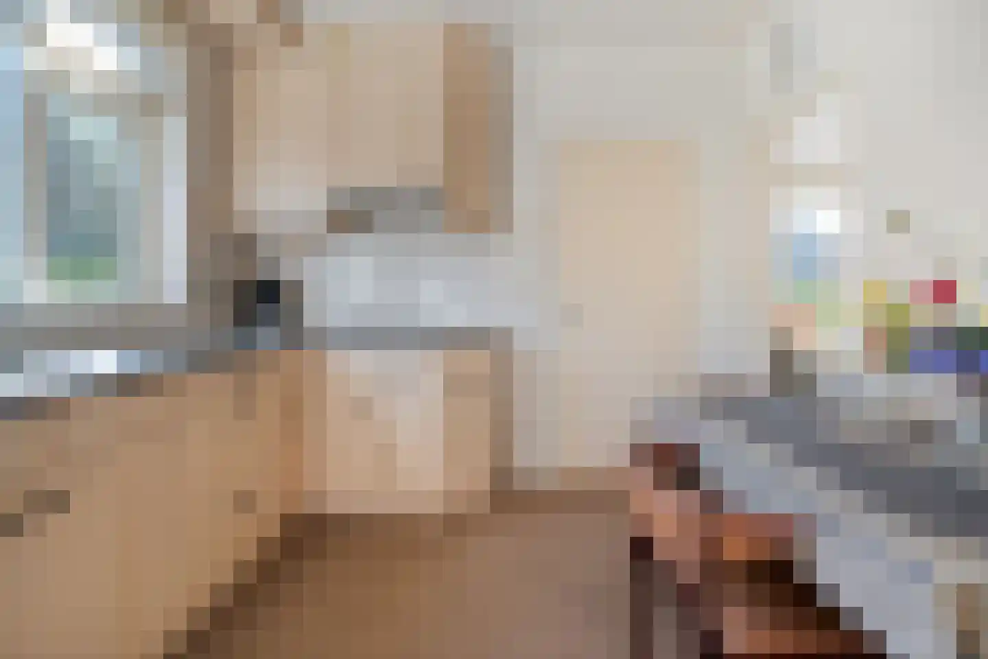 Acaciastraat 2 Nieuwleusen thumbnail 11