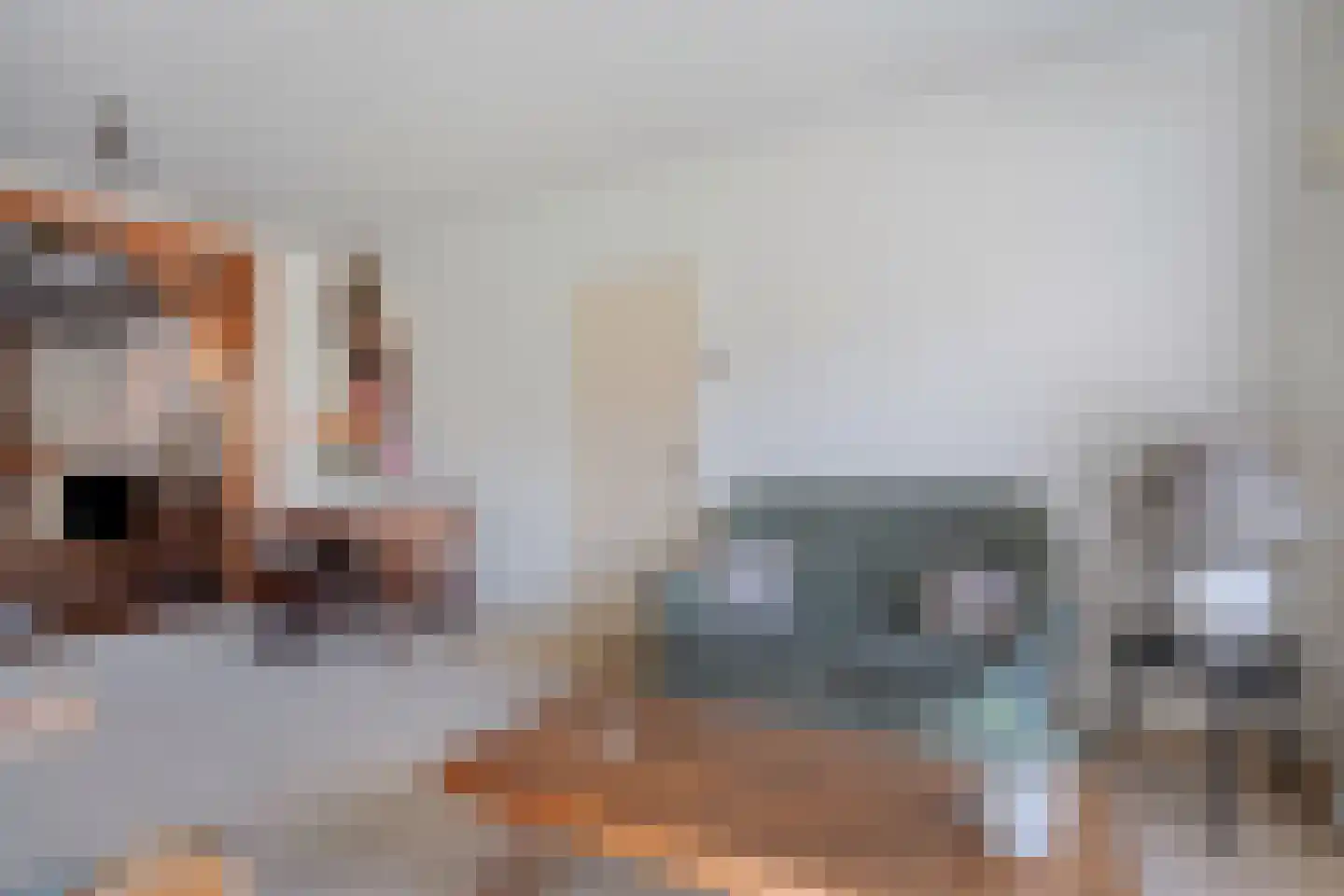 Acaciastraat 2 Nieuwleusen thumbnail 15
