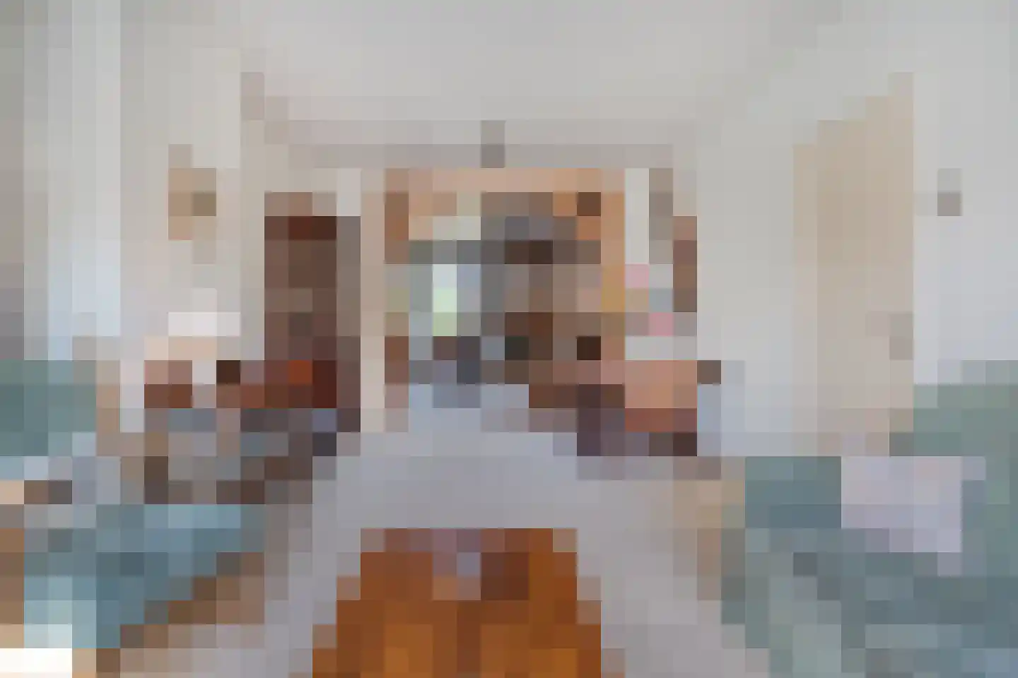 Acaciastraat 2 Nieuwleusen thumbnail 16