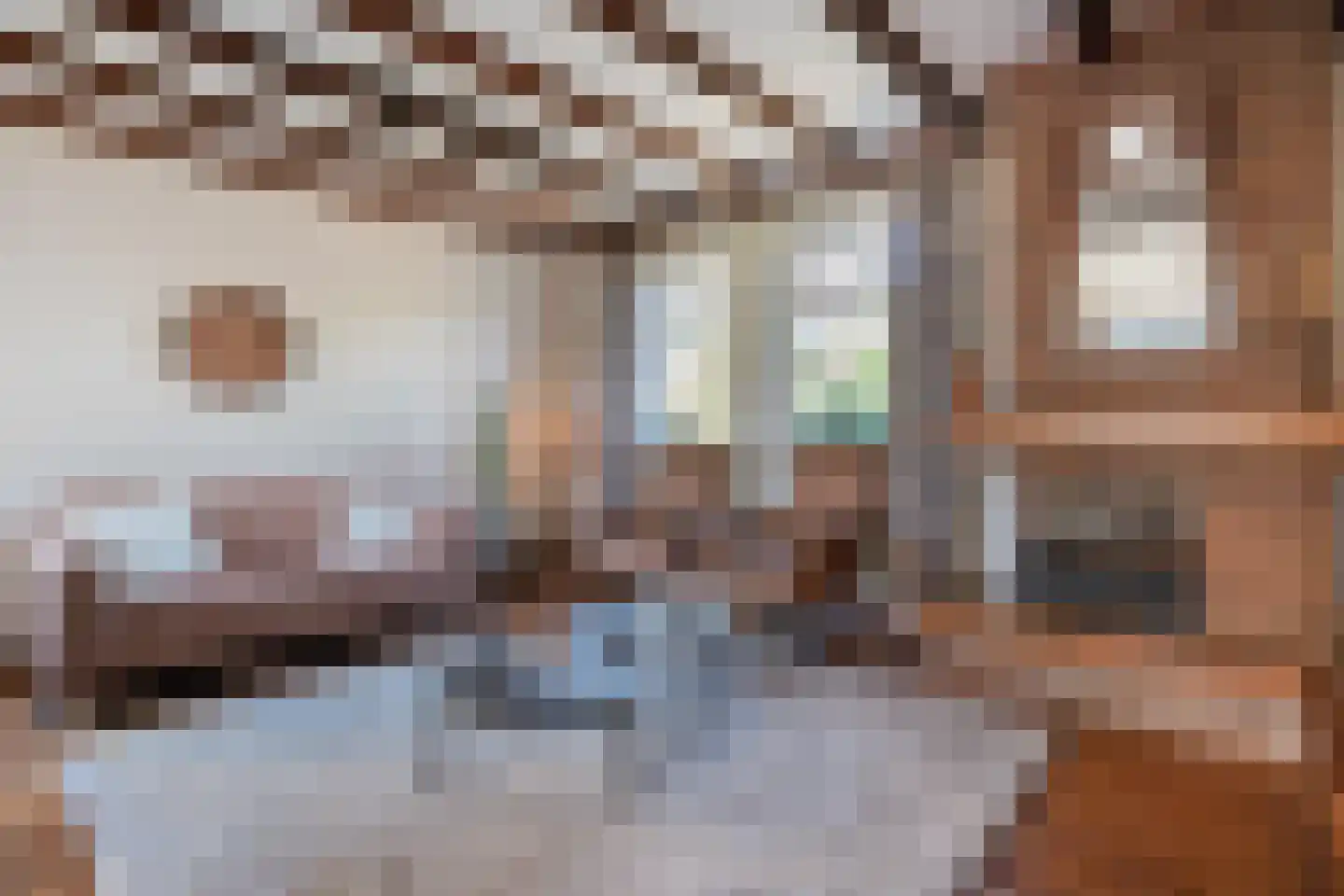Acaciastraat 2 Nieuwleusen thumbnail 19