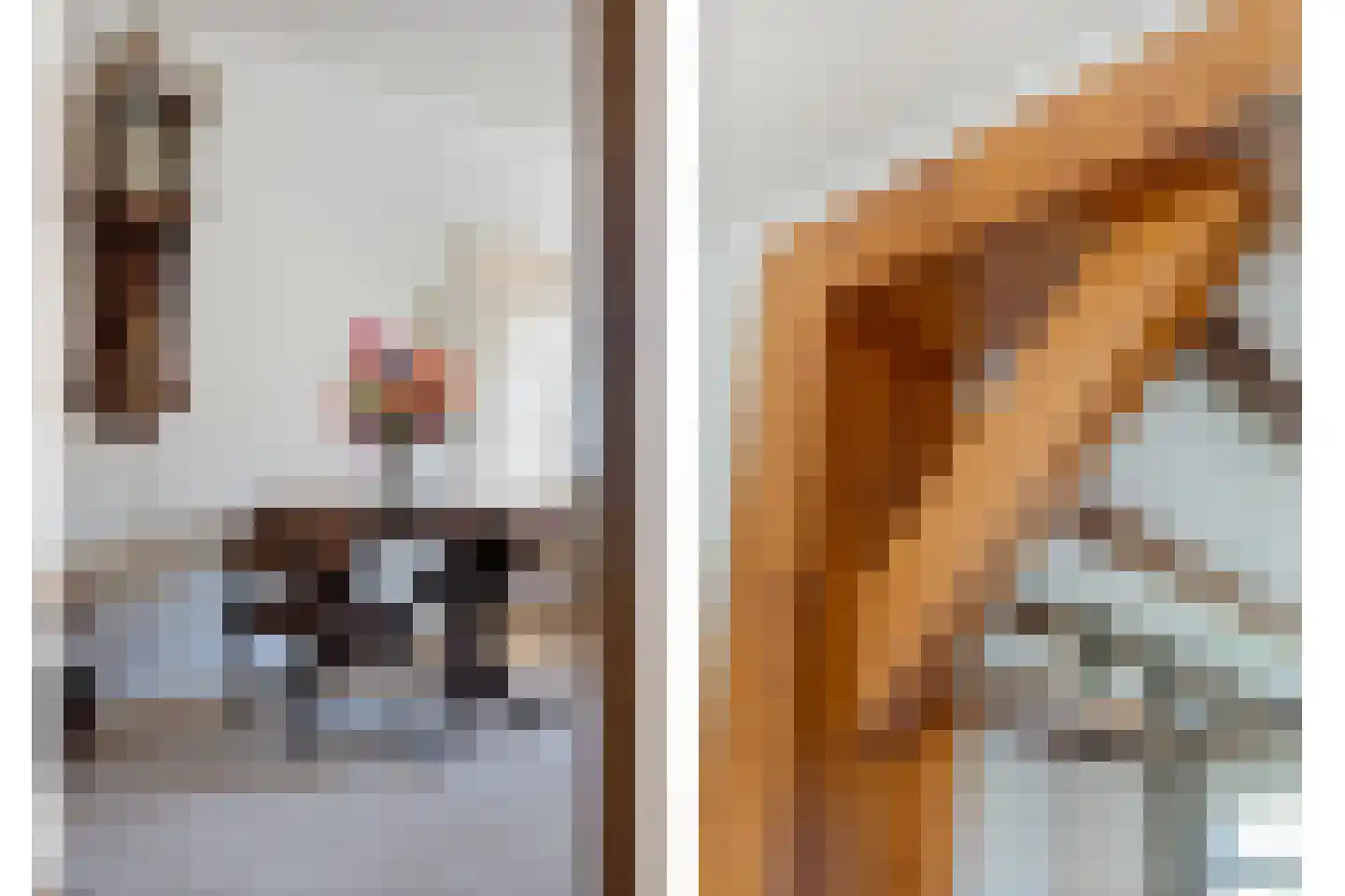 Acaciastraat 2 Nieuwleusen thumbnail 22
