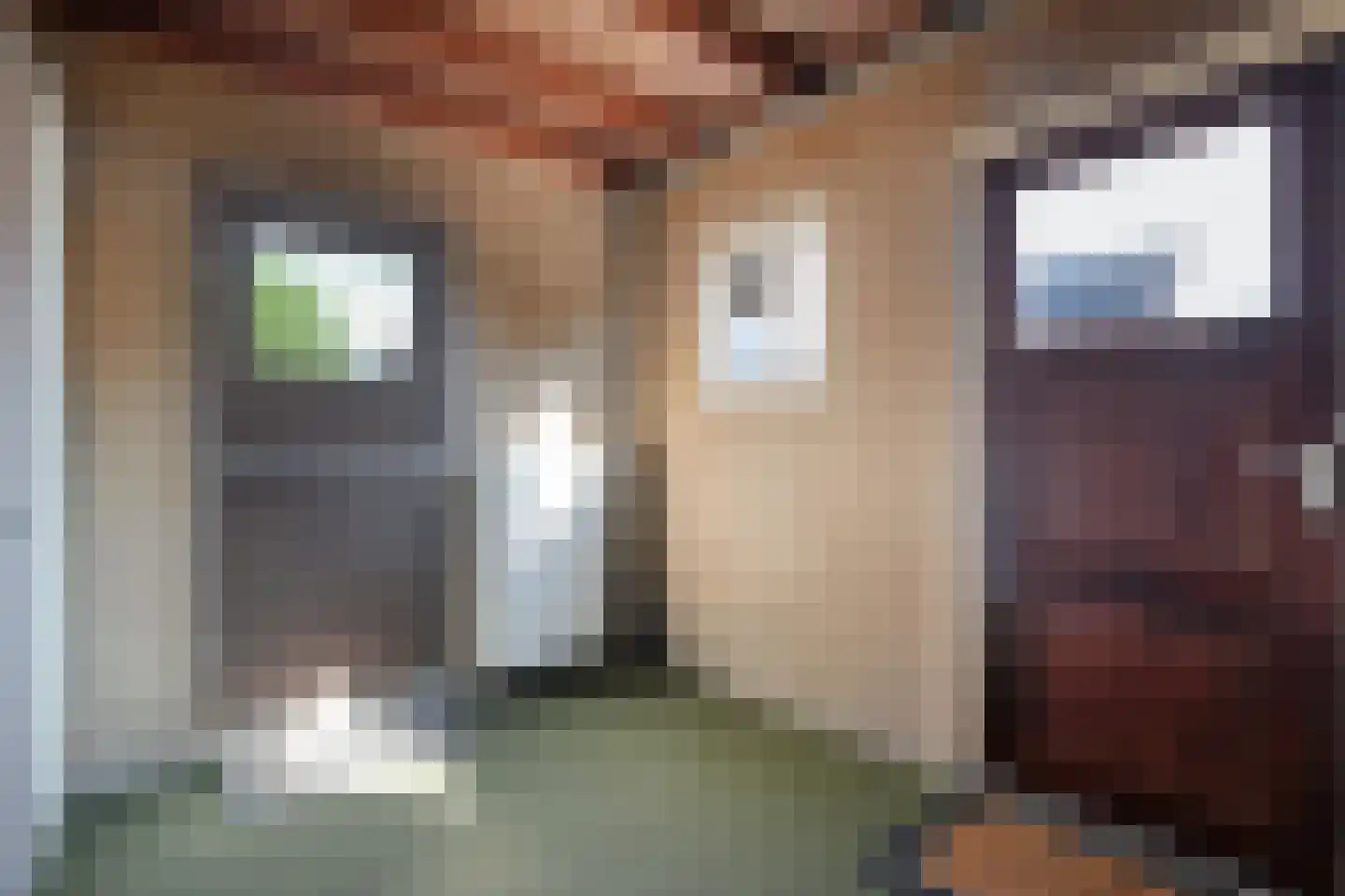 Acaciastraat 2 Nieuwleusen thumbnail 24