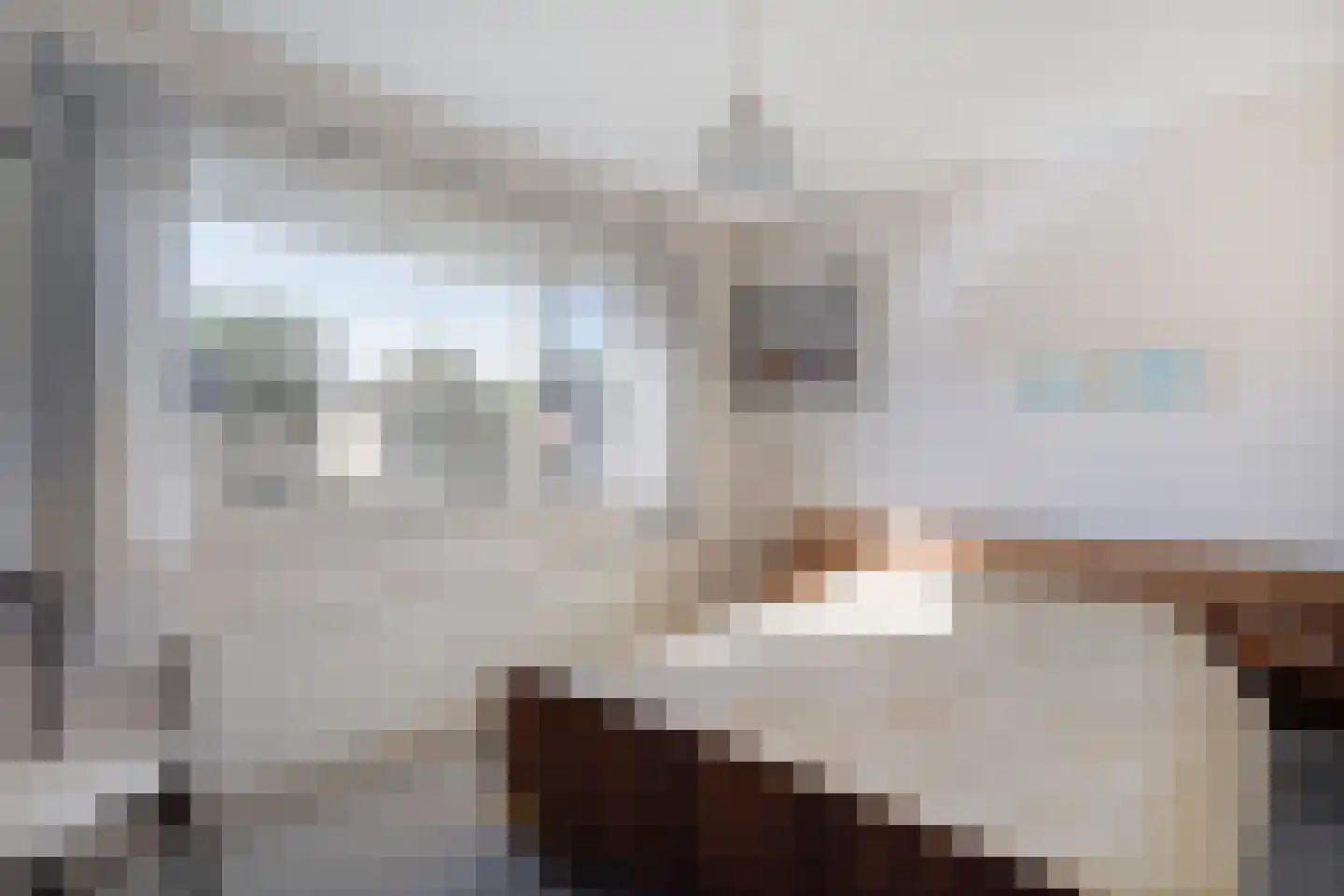 Acaciastraat 2 Nieuwleusen thumbnail 28