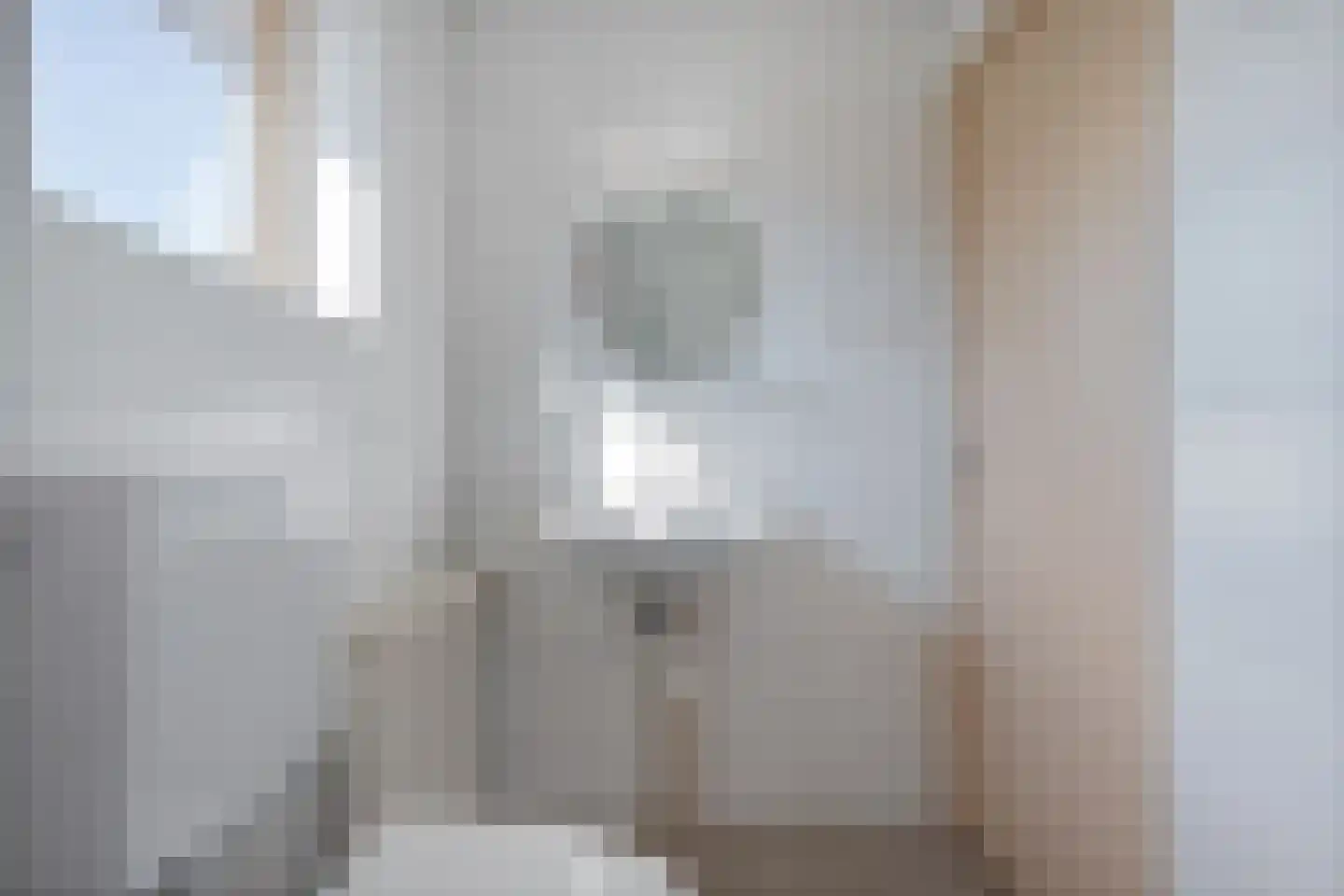Acaciastraat 2 Nieuwleusen thumbnail 38