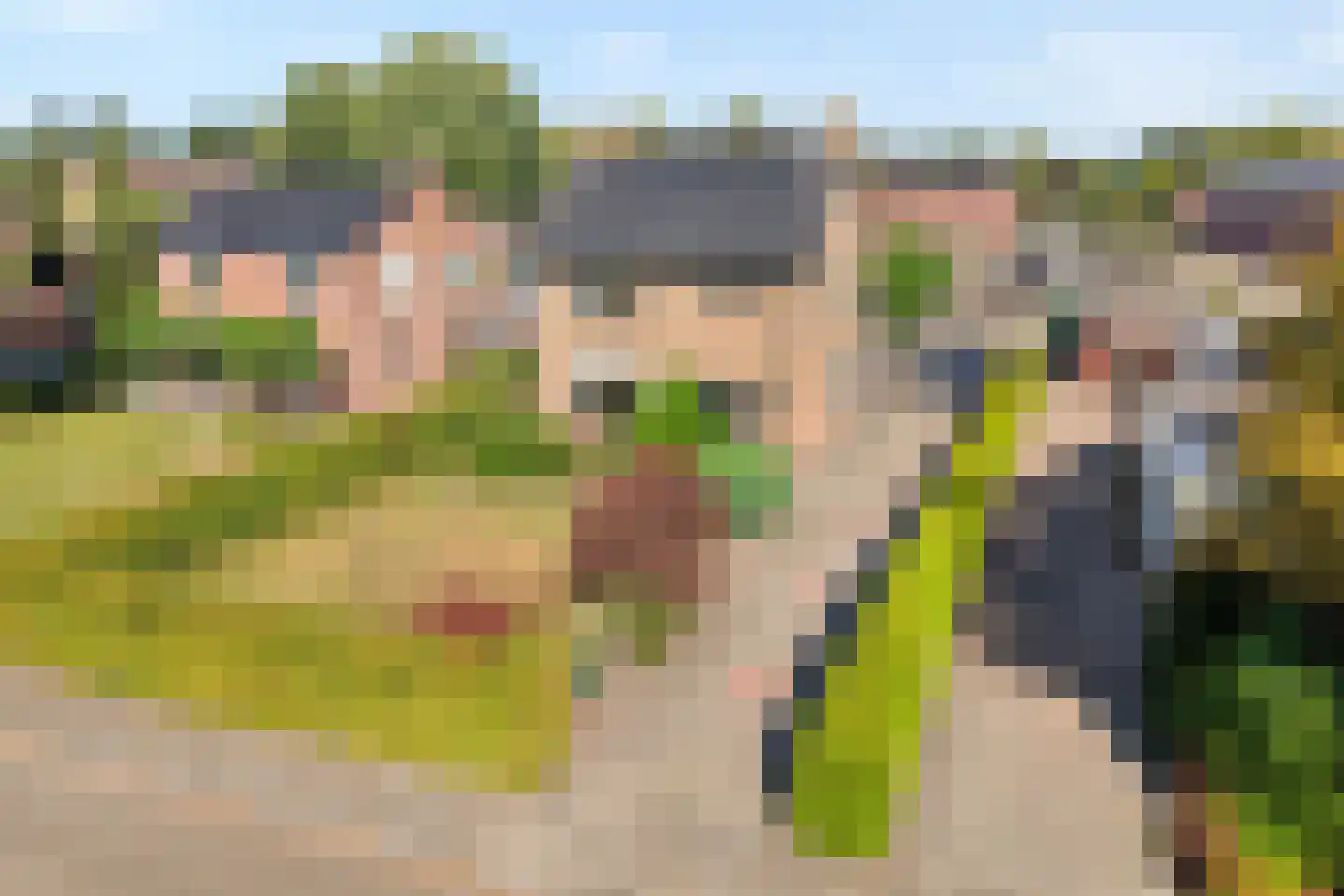 Acaciastraat 2 Nieuwleusen thumbnail 4