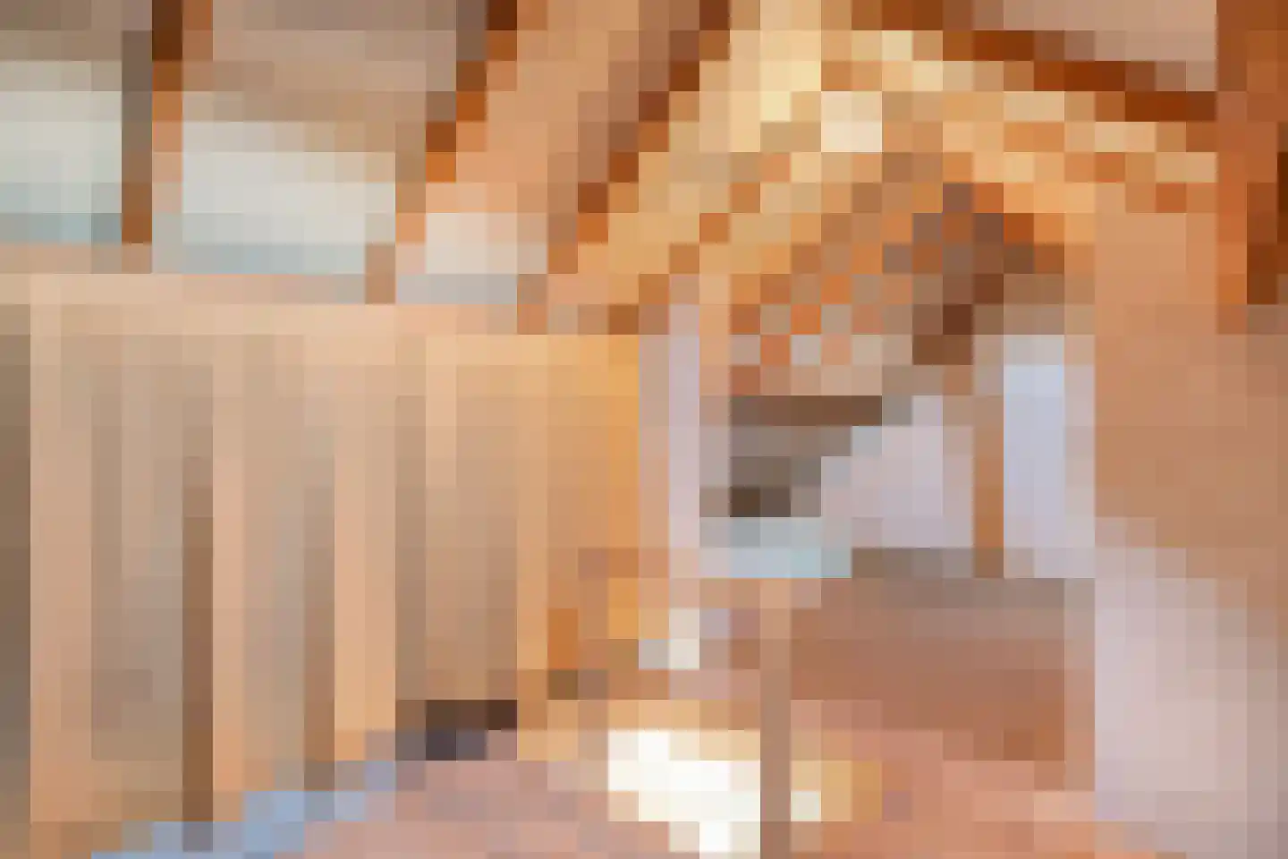 Acaciastraat 2 Nieuwleusen thumbnail 40