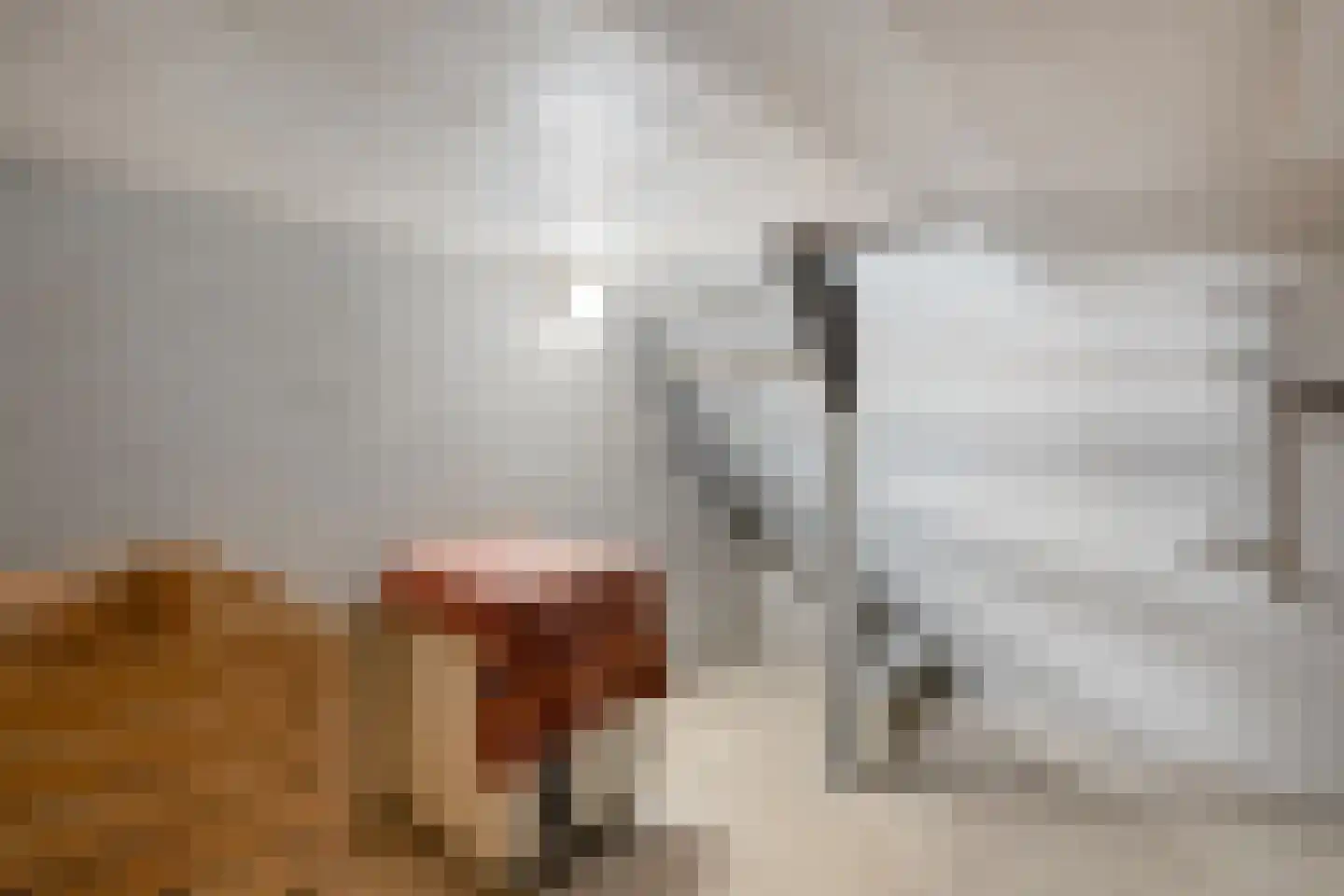 Acaciastraat 2 Nieuwleusen thumbnail 41