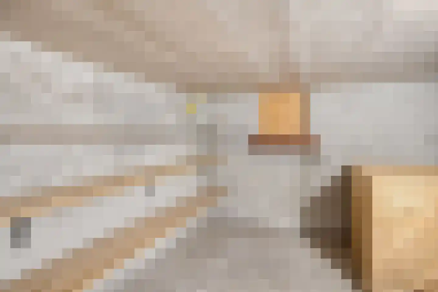 Acaciastraat 2 Nieuwleusen thumbnail 42