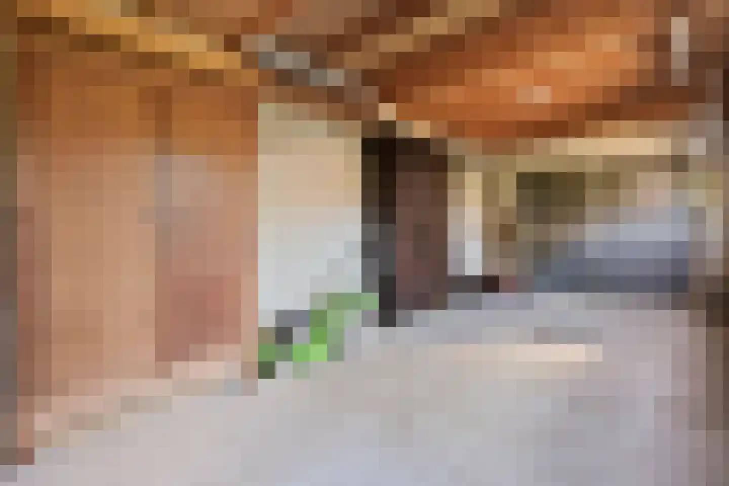 Acaciastraat 2 Nieuwleusen thumbnail 49