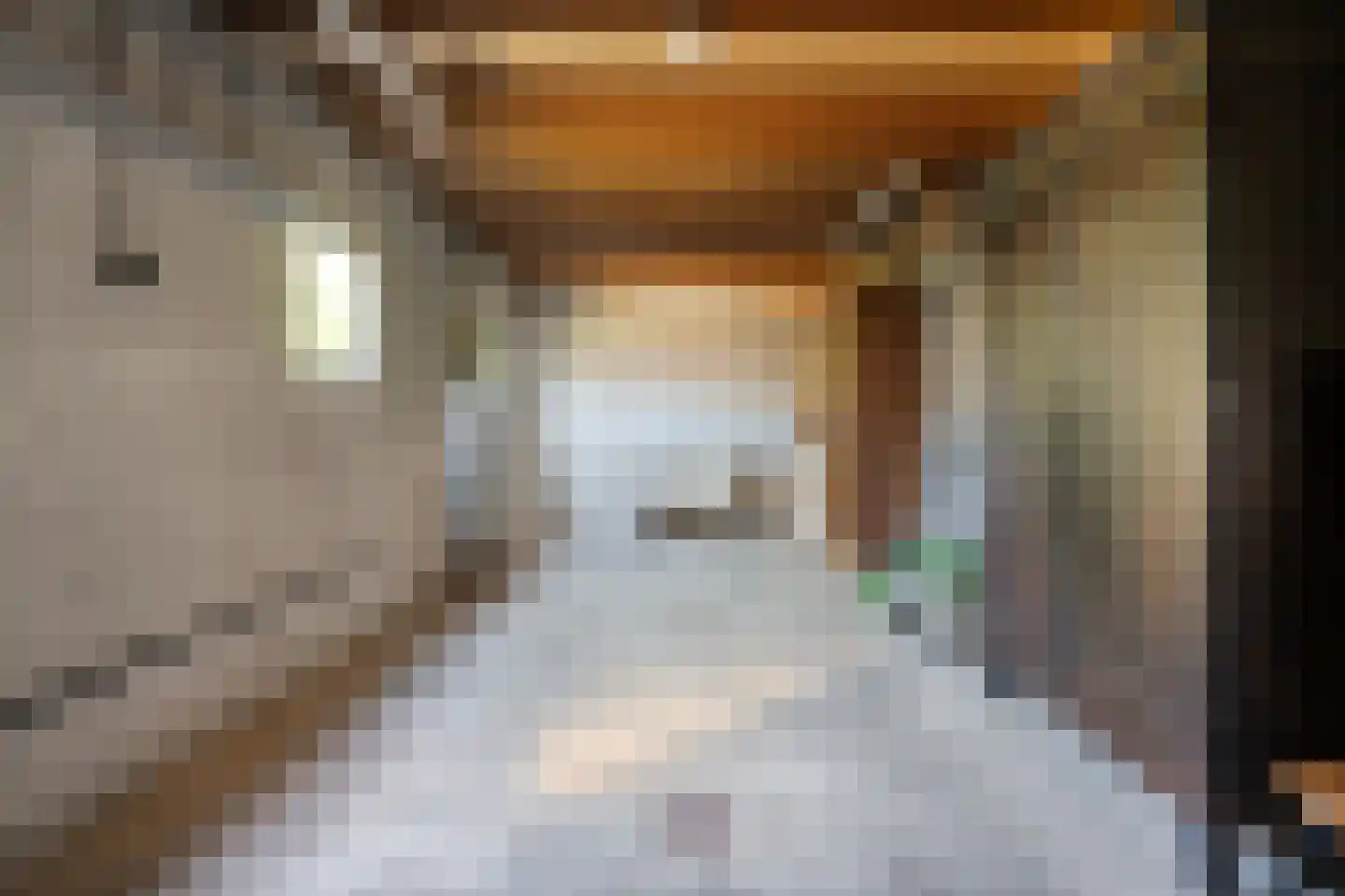 Acaciastraat 2 Nieuwleusen thumbnail 50