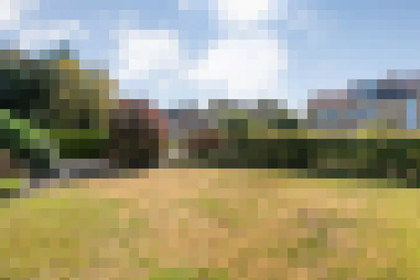 Acaciastraat 2 Nieuwleusen thumbnail 53