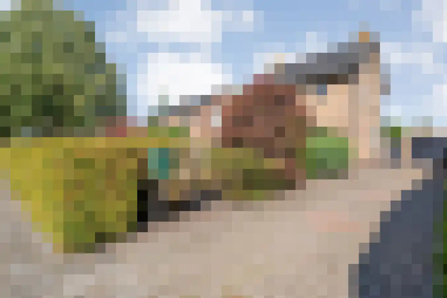 Acaciastraat 2 Nieuwleusen thumbnail 54