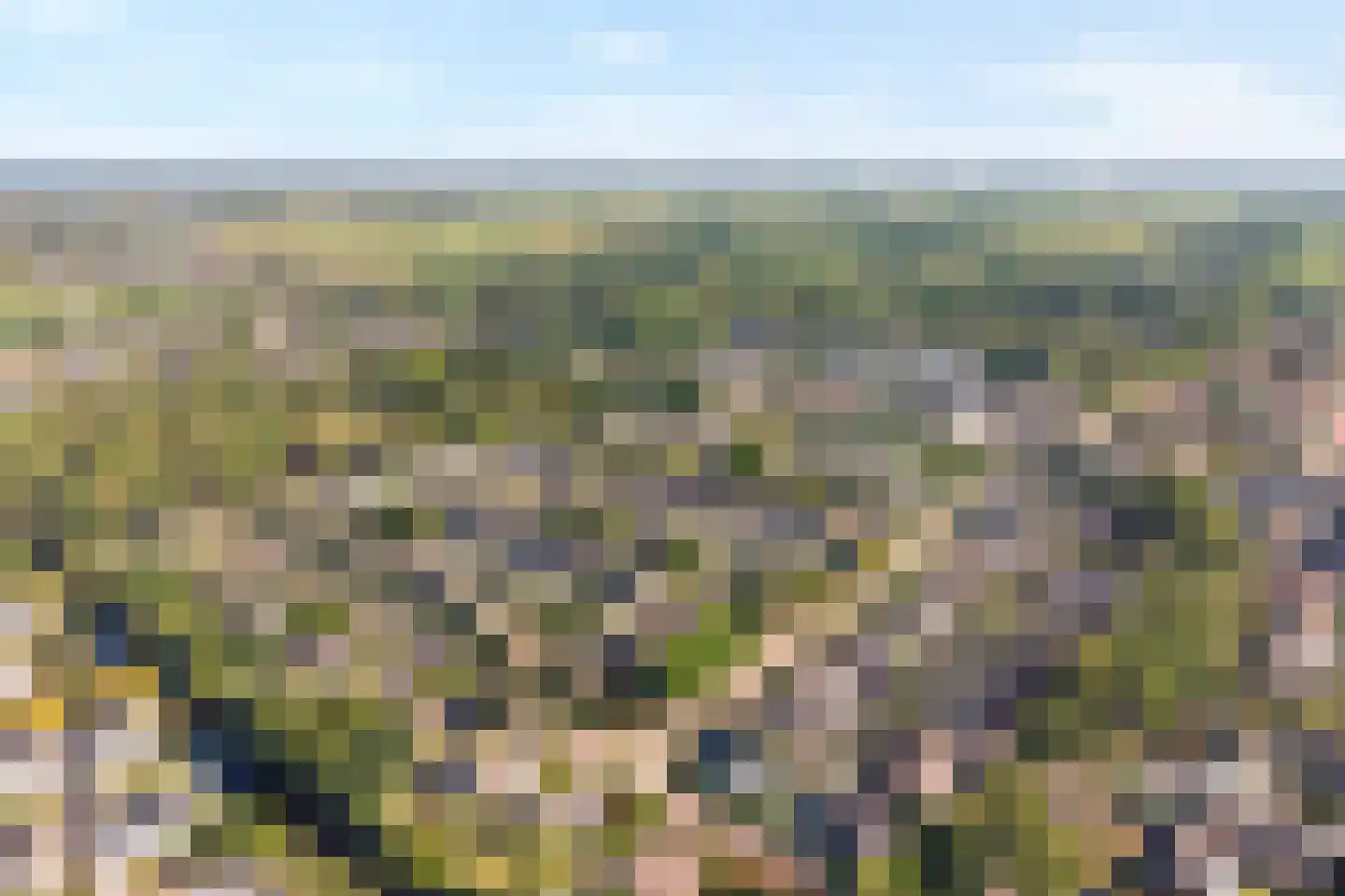 Acaciastraat 2 Nieuwleusen thumbnail 56