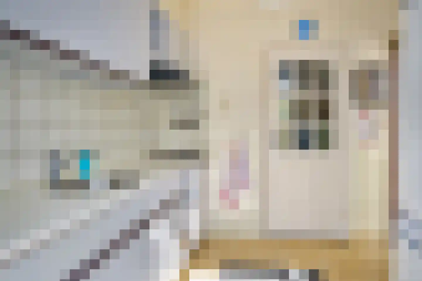 Acaciastraat 2 Schijndel thumbnail 12