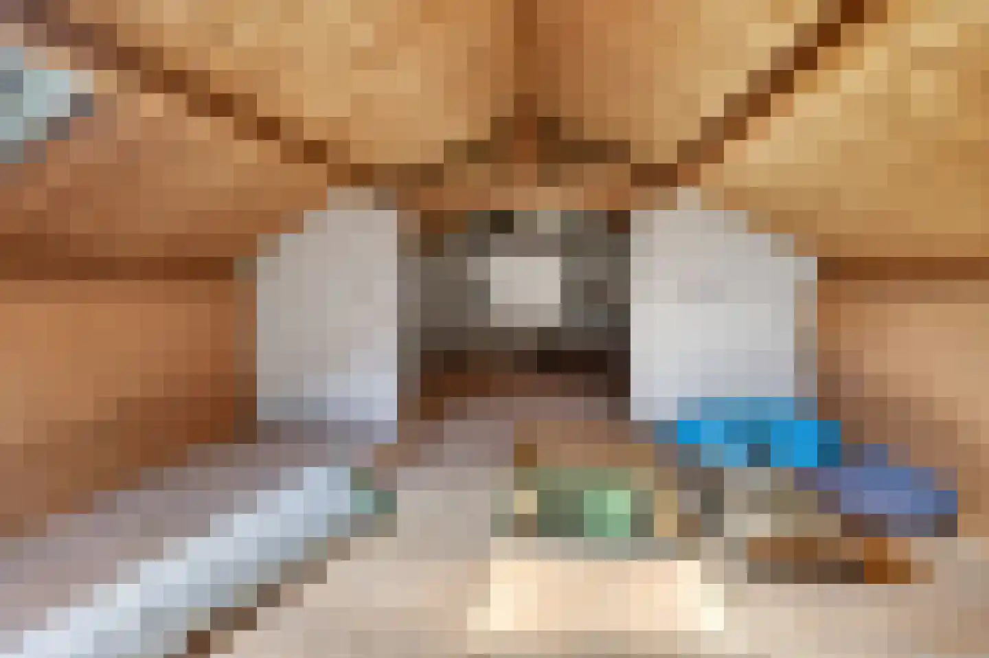 Acaciastraat 2 Schijndel thumbnail 24