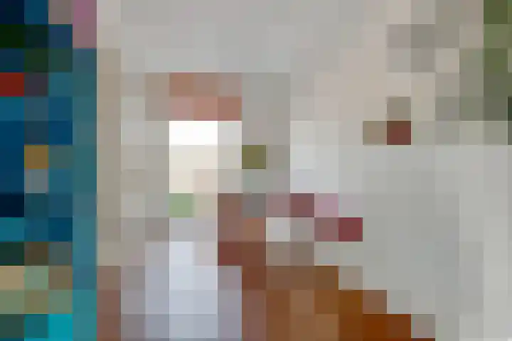 Acaciastraat 20 BS Utrecht thumbnail 14