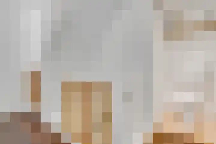 Acaciastraat 20 BS Utrecht thumbnail 17