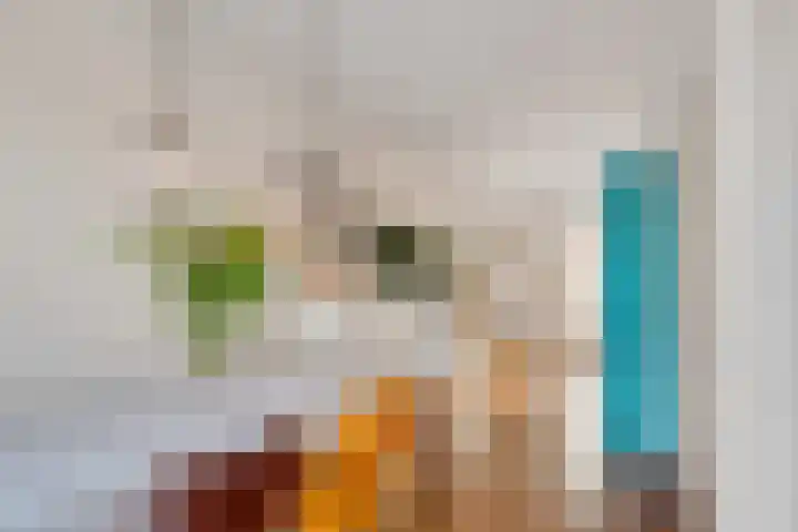 Acaciastraat 20 BS Utrecht thumbnail 27
