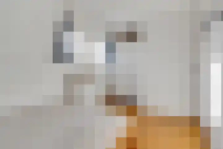 Acaciastraat 20 BS Utrecht thumbnail 31
