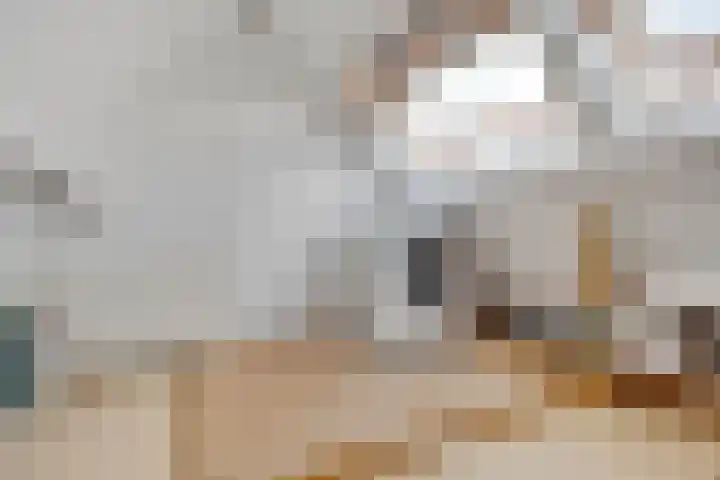 Acaciastraat 20 BS Utrecht thumbnail 36